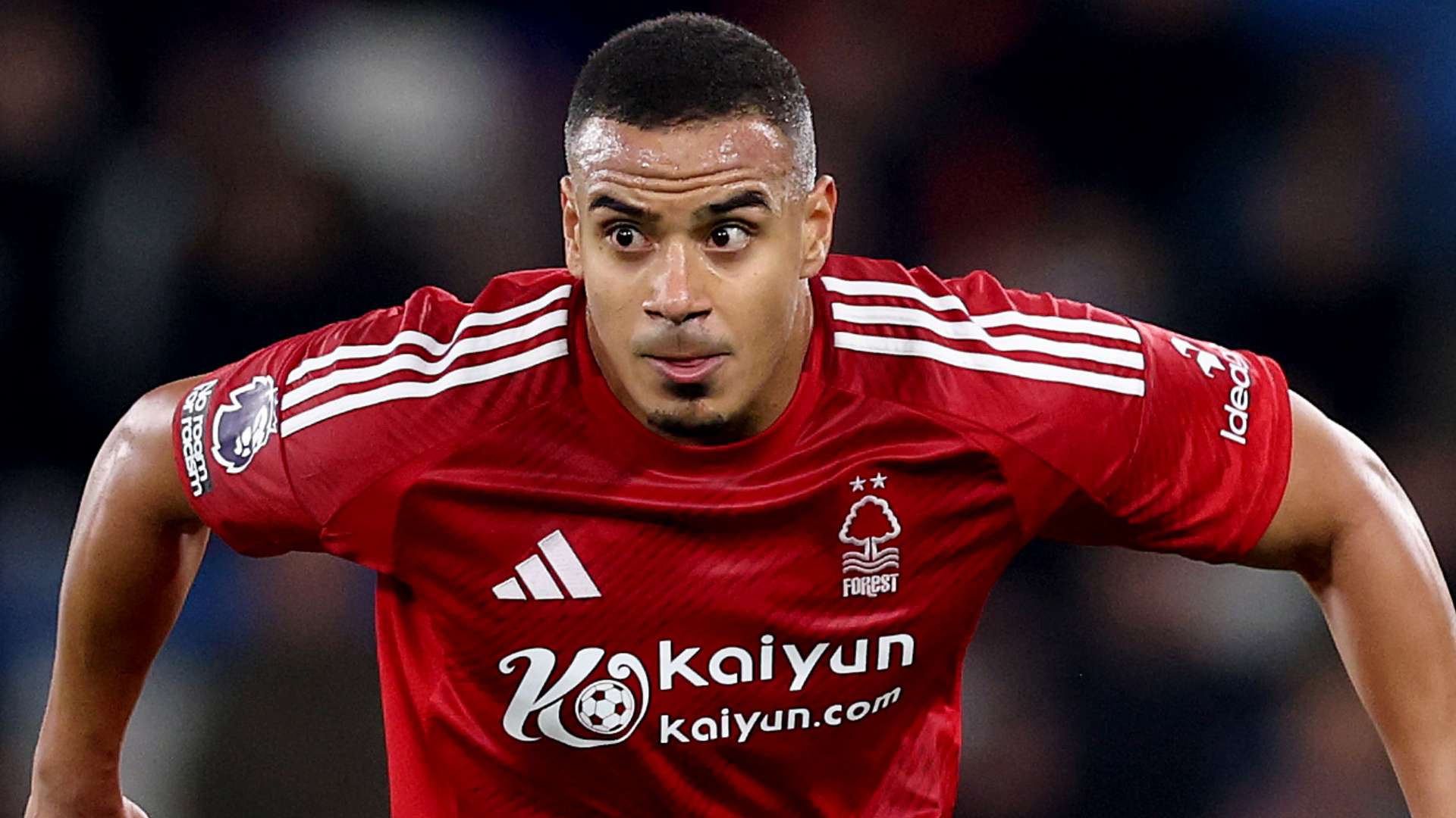 稳健往往决 稳健往往决