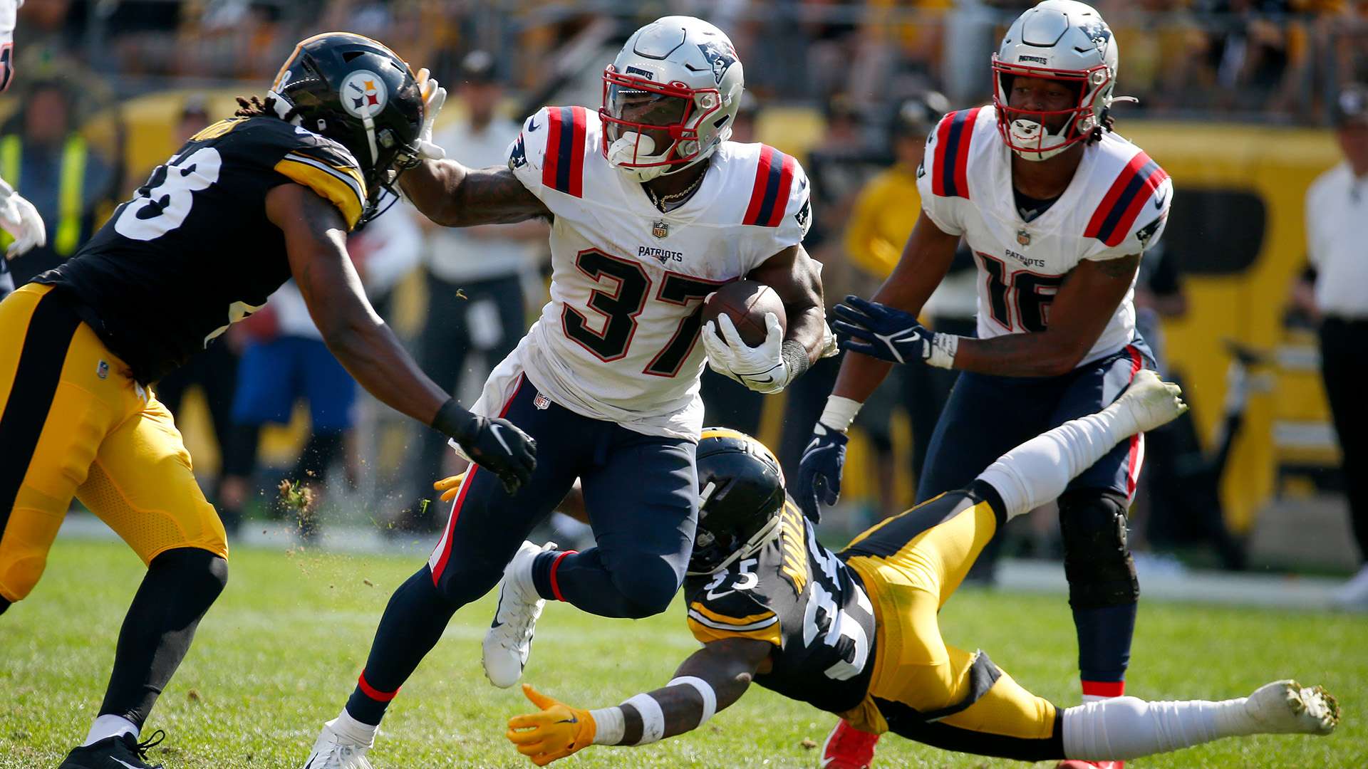 容的野心相 容的野心相