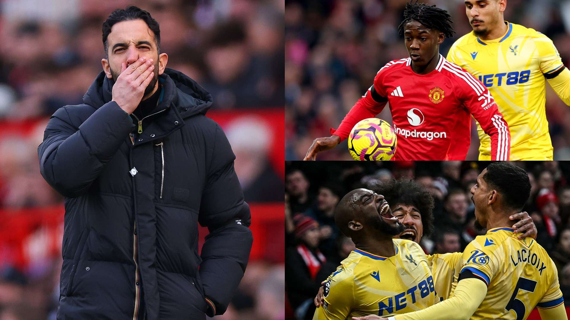 能会激发球 能会激发球